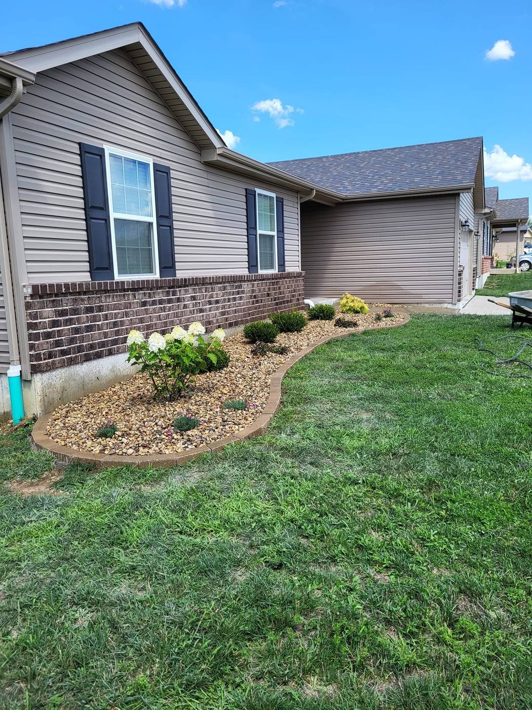 New shrubs and hydrangea in a rock bed