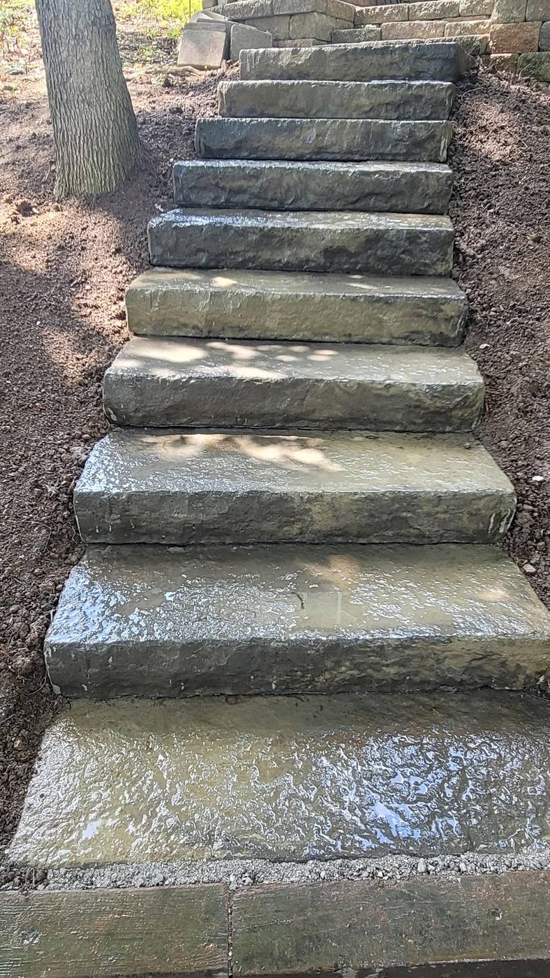 Slab steps climbing a wooded slope