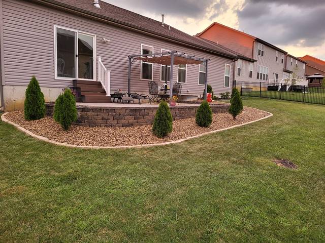 Rock bed and evergreens around the back patio