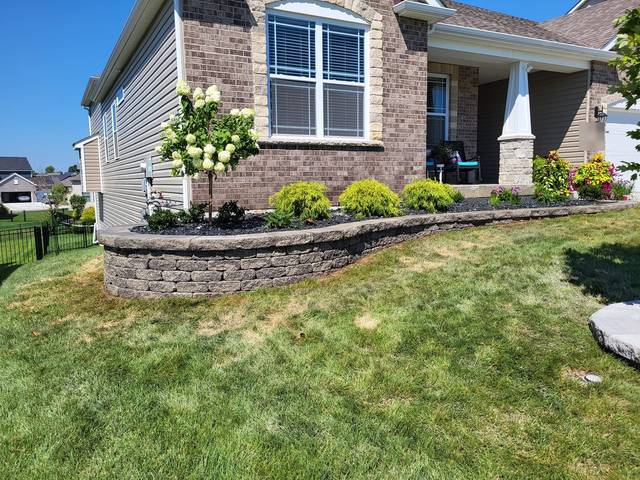 Long raised bed wall with hydrangea and shrubs