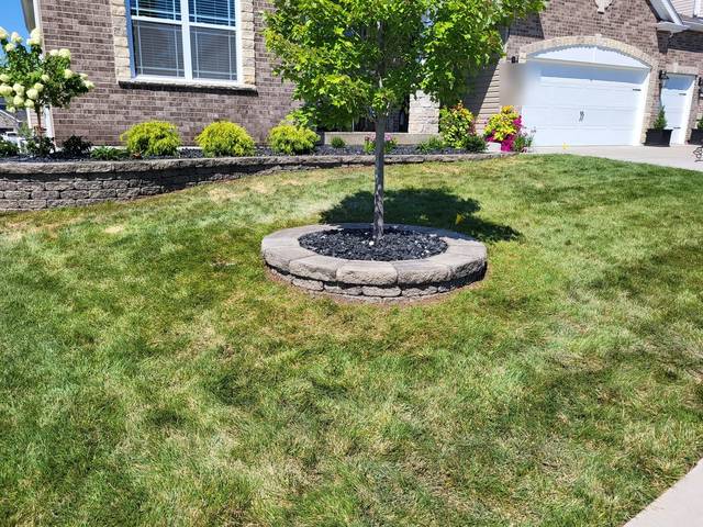 Round tree ring in the front lawn