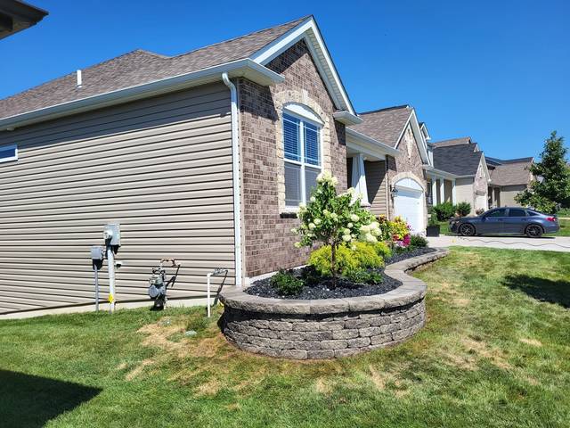 Curved raised bed at the side of the house