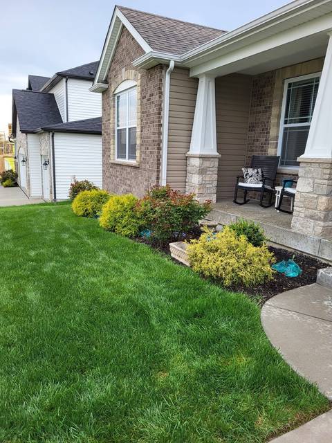 Shrubs along a front porch