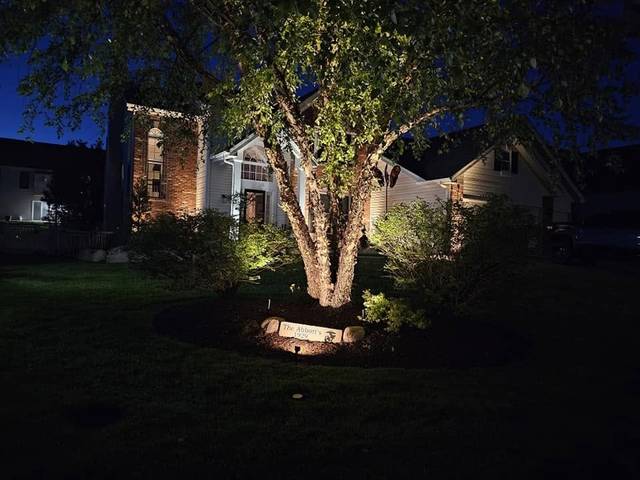 Uplit tree in a front bed at night