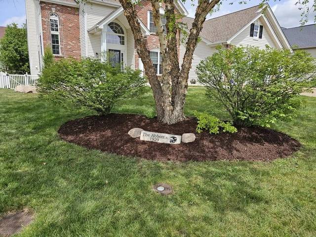 Mulch ring around a tree in the front lawn