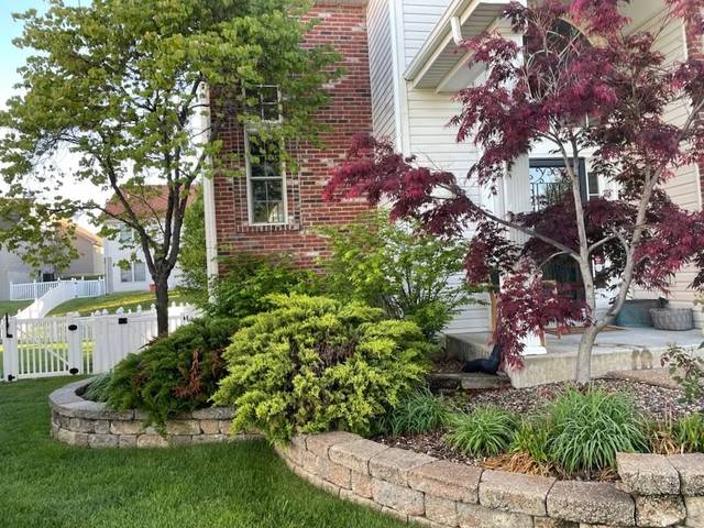 Japanese maple, shrubs and grasses in a walled bed