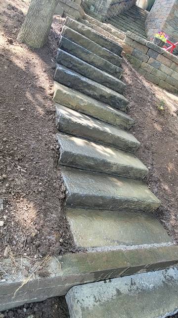 Slab steps up a slope beside the trees