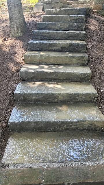 Slab steps climbing a wooded slope